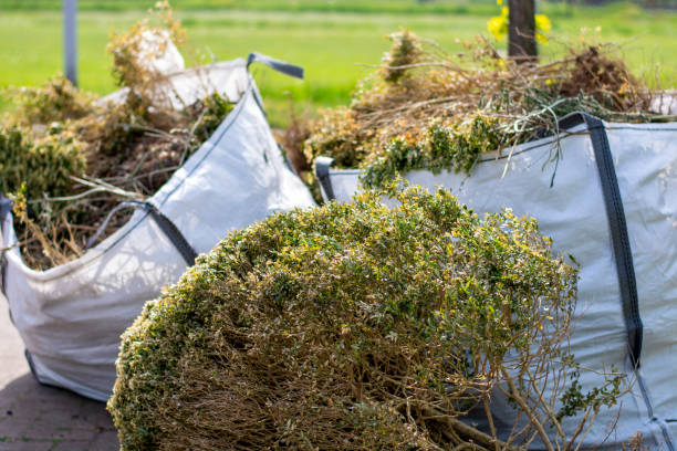 Best Electronics and E-Waste Disposal  in Canton, MS